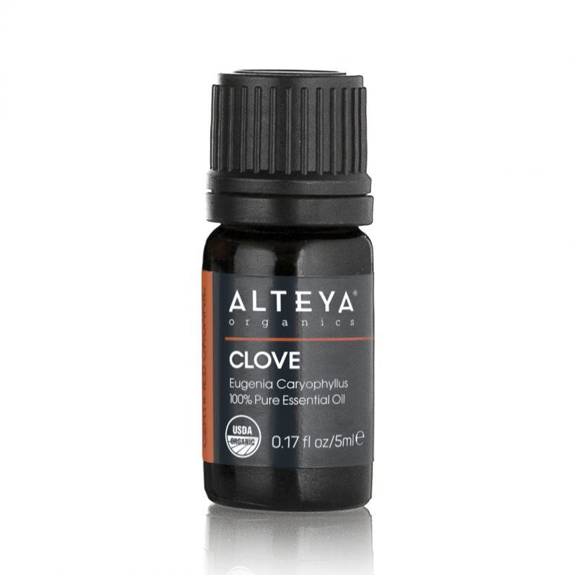 Clove essential oil is extracted by steam distillation of Eugenia Caryophyllus tree buds. Clove oil has a clear to pale yellow color. Its aroma is warm, woody and strong, with a pronounced clove scent. Clove essential oil contains a rich composition of phytochemicals, including sesquiterpenes, monoterpenes and phenolic compounds, but its three main ingredients are eugenol, eugenyl acetate and beta-caryophyllene. 