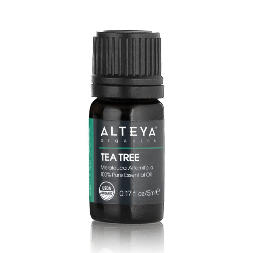Tea tree essential oil is extracted from the leaves and twigs of the Melaleuca Alternifolia plant through steam distillation. The oil has a spicy, sharp but pleasant smell and is clear in color.  This essential oil is extremely popular nowadays, mainly due to its attributed wide range of properties, including – anti-inflammatory, antibacterial, antiviral, antiseptic, antifungal. etc.