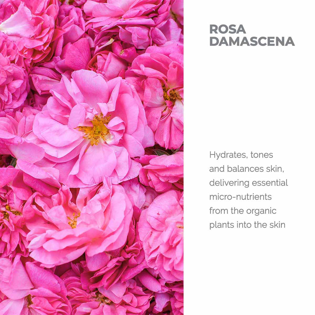 Floral-Waters-Organic-Bulgarian-Rose-Water-250-ml-spray-Alteya-Organics