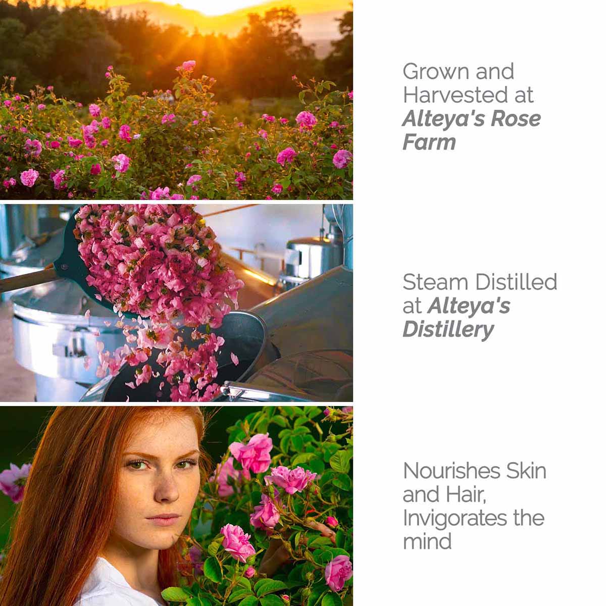 Floral-waters-Organic-Bulgarian-Rose-Water-500-ml-Alteya-Organics