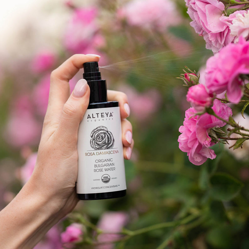 bulgarian-rose-water-in-a-violet-glass-in-roses-alteya-organics